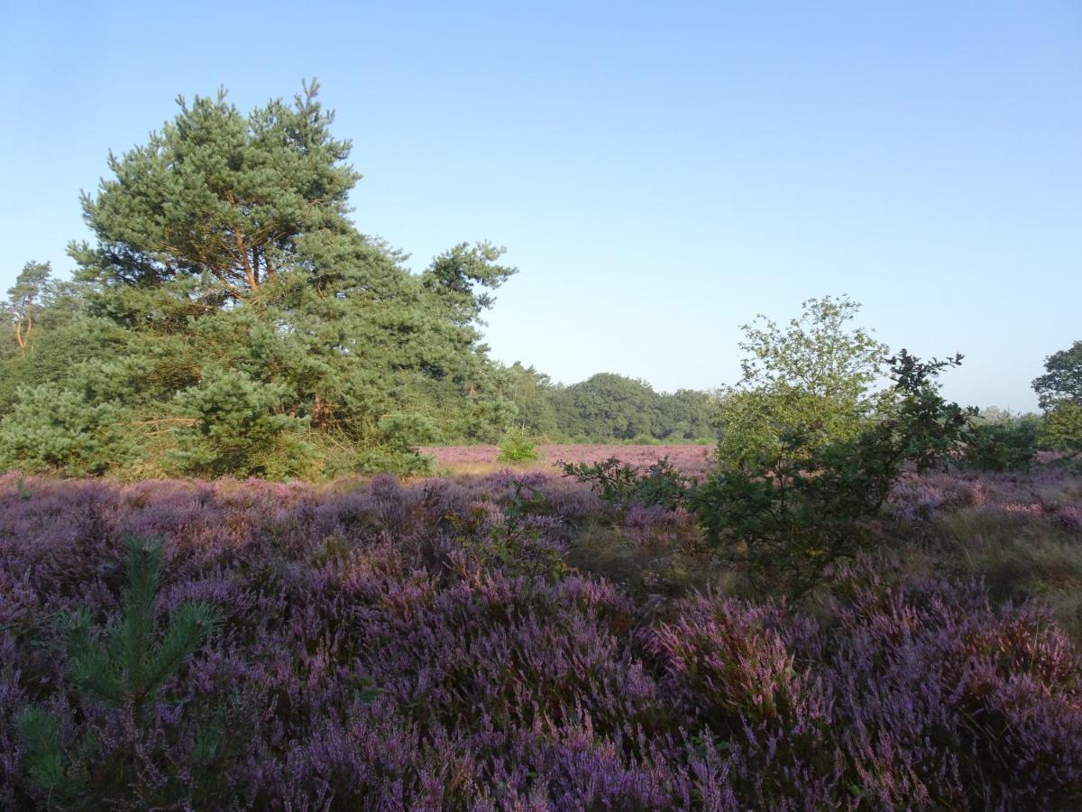 Veluwe Park Reewold Chalet Eclipse Putten Eksteriør bilde
